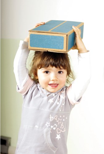 Eduplay bouwblokken karton grote set van 20 stuks multicolor-2