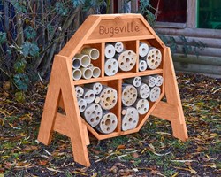 Cosy BUGSVILLE HIVE