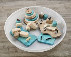 Cosy Ice Scene Set 20Pk