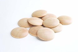 TickiT Tickit Natuurlijke Houten Schijven