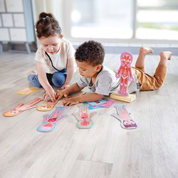 Hape Menselijk Lichaam Magnetische Puzzel - 63dlg.