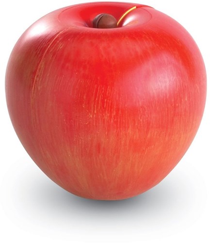 Learning Resources educatief speelgoed - Magnetische appel breuken leren rekenen-2